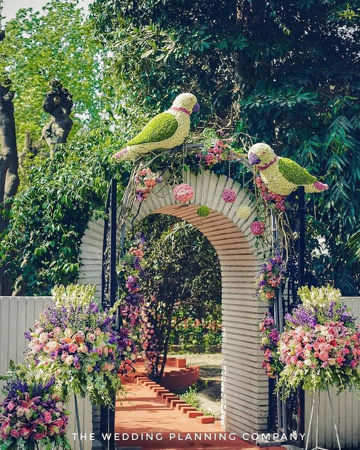 Ways To Add Parrot Decoration